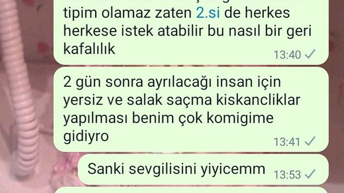 Gıcık olduğum bir kızın sevgilisine istek attım, bana hakaret etti. İyi yazmış mıyım?