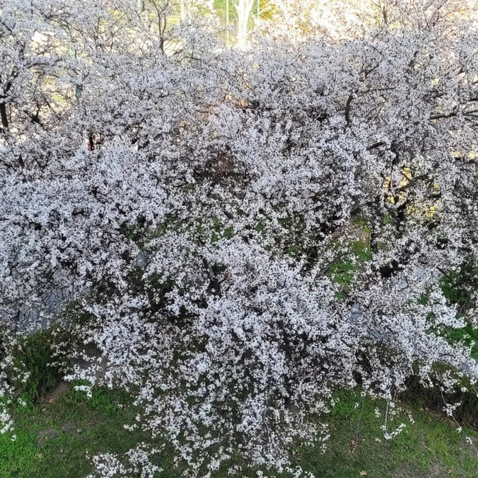 İlkbahar gelmek üzere, siz baharda nasıl hissediyorsunuz?