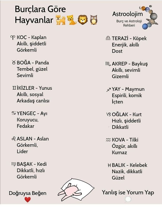 Burcuna göre hangi hayvansınız?