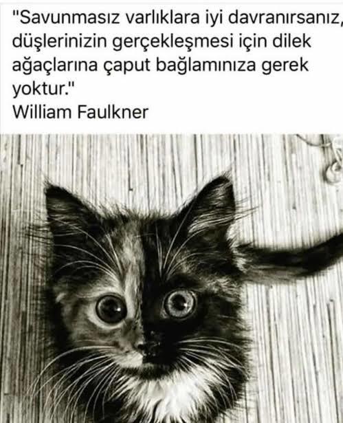 Savunmasız varlıklara nasıl davranıyorsunuz? Peki siz savunmasız kaldınız mı hiç?