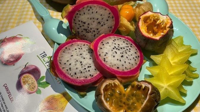 Günlerden tropikal 🥑🍍😋 Tropikal meyveleri seviyor musun?