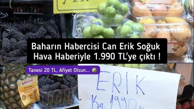 Erik 2000 tl ye dayandı! Bu kadar pahalı olmasının sebebi nedir, değer mi?
