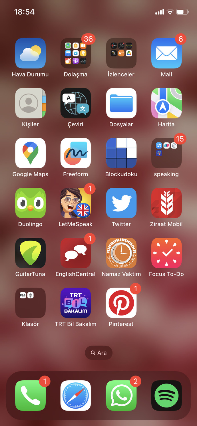 Telefonunuzun ekranı düzenli mi?