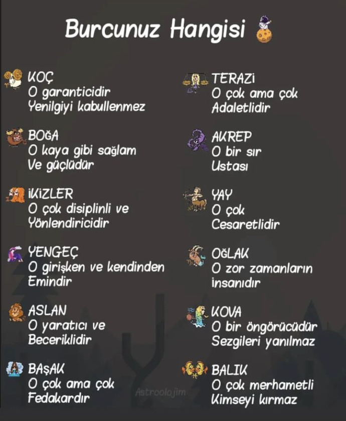 Burcunuzu hangi cümle tanımlıyor?