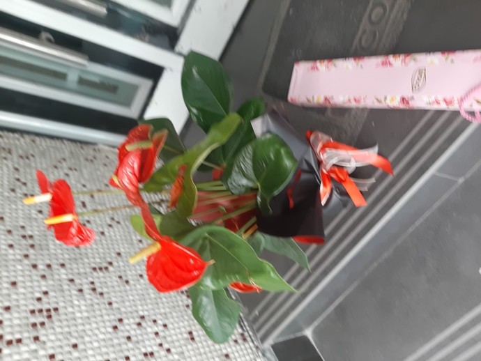 Erkek arkadaşıma doğum gününde çiçek göndersem nasıl olur?