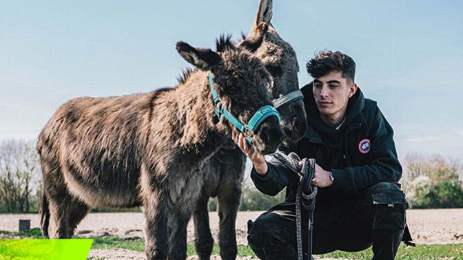 Chealse'nin yıldızı Havertz: "Arkadaşlarım bana eşek diyor" Bizim futbolculardan lakabını sevdiğiniz kim var?