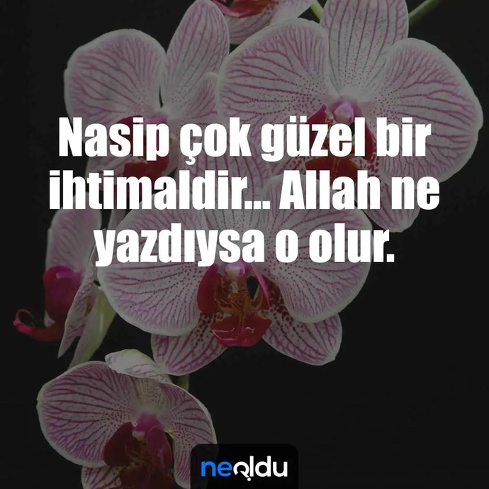 Nasip nedir sizce herseyin hayırlısı demek mi yoksa kader gayretemi aşıktır?