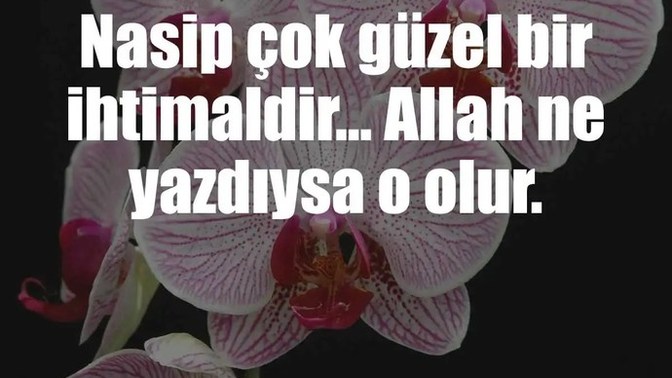 Nasip nedir sizce herseyin hayırlısı demek mi yoksa kader gayretemi aşıktır?