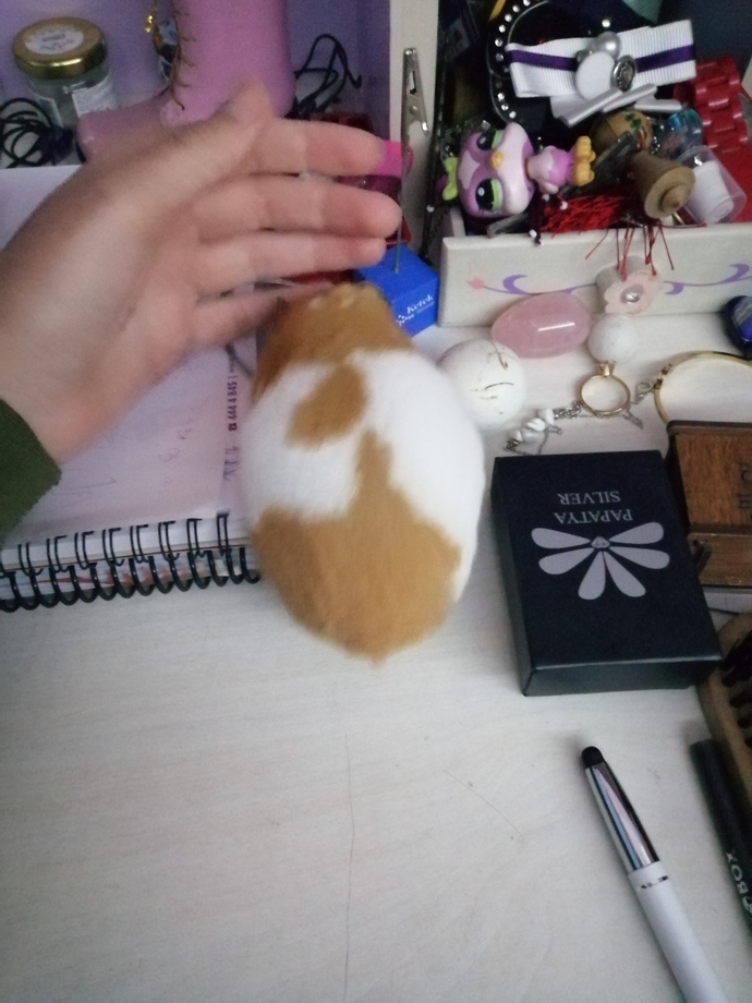 Hamster besleyen var mı, hamile hamster nasıl anlaşılır?