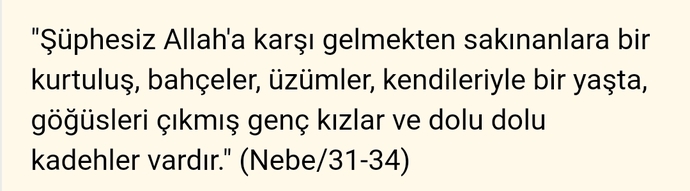 Aşağıda yer alan Kurandaki Ayetleri açıklayabilecek var mıdır?