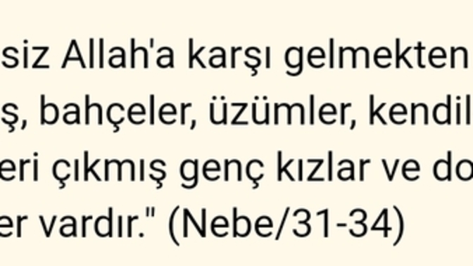 Aşağıda yer alan Kurandaki Ayetleri açıklayabilecek var mıdır?