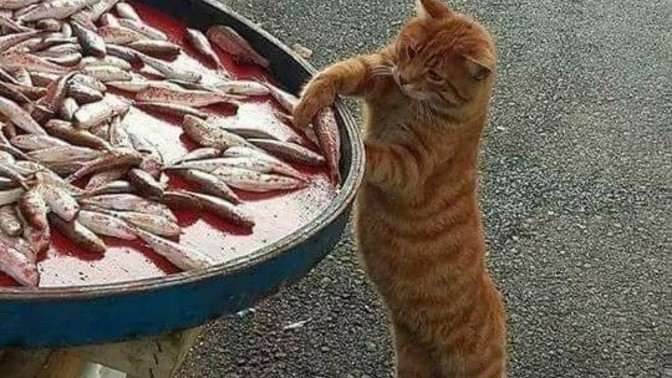 Hiç hırsızlık yaptın mı?