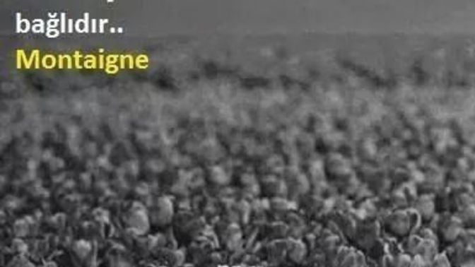 Hayatı doyasıya yaşıyorum diyebilmek için neye ihtiyacın var?