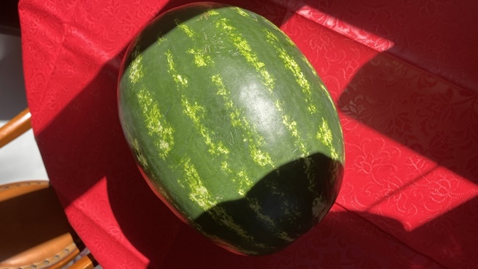 Karpuz sezonunu açtın mı?