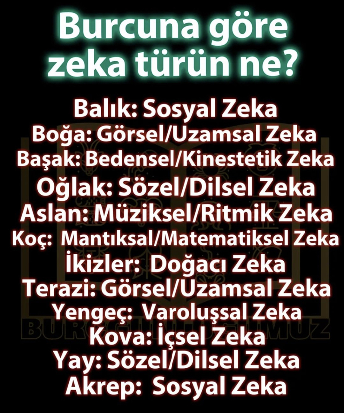 Zeka küplere gelsin 😂