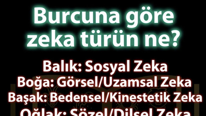 Burcuna göre hangi zeka türüne sahipsin?