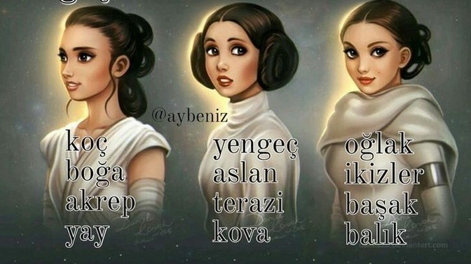 Burcuna göre sen hangi kategoridesin?