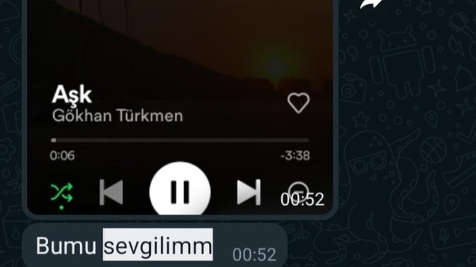 Sevgilinize en sık nasıl hitap edersiniz?