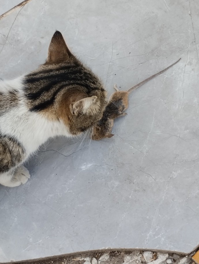 Doğanın kanunu çok adaletsiz değil mi ya?