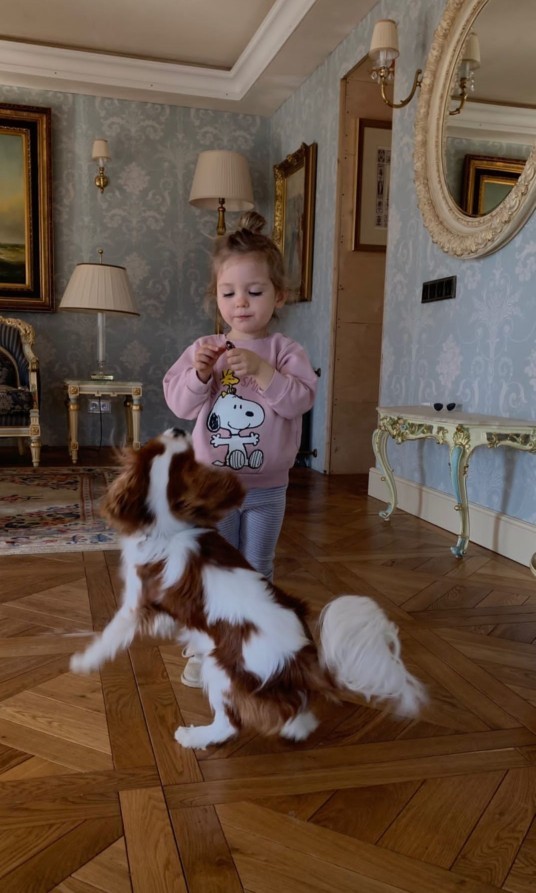 Evcil hayvanınız var mı kedi, köpek, kuş?