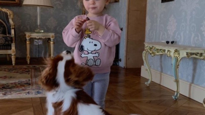 Evcil hayvanınız var mı kedi, köpek, kuş?