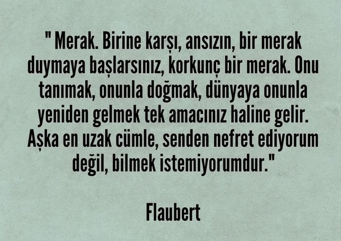 Flaubert aşkı birine karşı aşırı merak olarak açıklamış , bu açıklamaya göre siz daha önce aşık oldunuz mu?