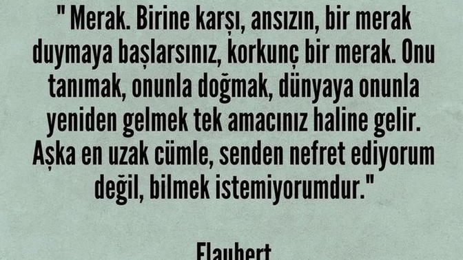 Flaubert aşkı birine karşı aşırı merak olarak açıklamış , bu açıklamaya göre siz daha önce aşık oldunuz mu?