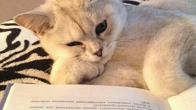 Ders çalışmak neden bu kadar sıkıcı?
