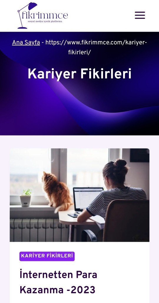 İnternette genel olarak hangi konularda araştırma yapıyorsunuz?