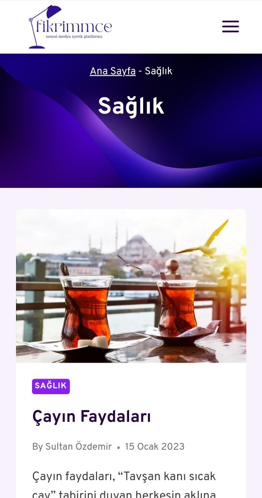 İnternette genel olarak hangi konularda araştırma yapıyorsunuz?
