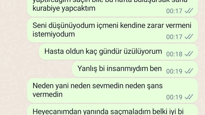 Bi kız size böyle mesaj atsa ne yaparsınız?