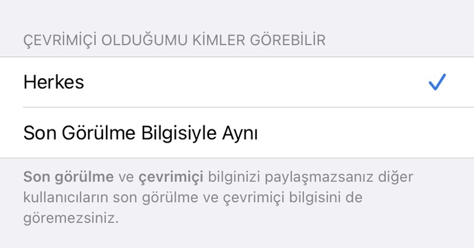 Whatsapp çevrimiçi durumunuz kapalı mı açık mı?