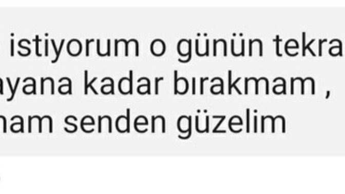 Ayık kafayla asla yapmayacağı şeyi sarhoşken yaptım?