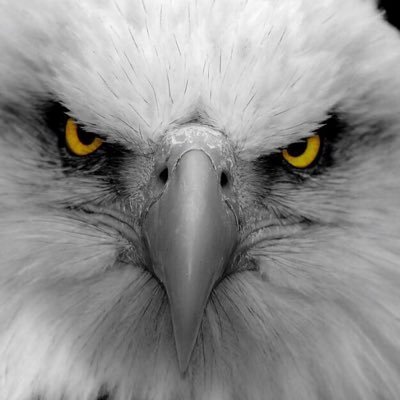 Derbi heyecanı sardı dörtbir yanımızı?