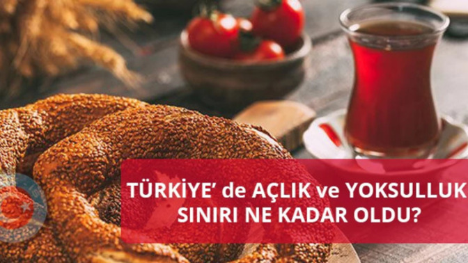 Ekonomik durumunuz nasıl Aç mısınız yoksul musunuz? Tek mi aileyle mi yaşıyorsunuz? Ekonomiden memnun musunuz? Geçinebiliyor musun?
