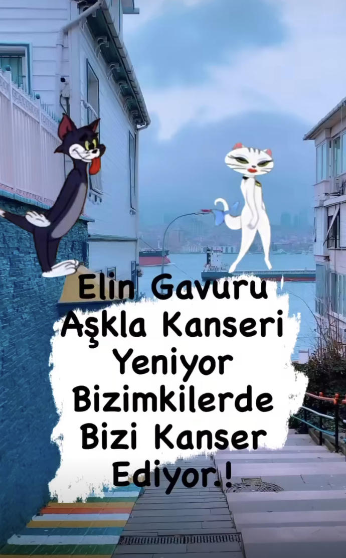 😅Geberesiciler