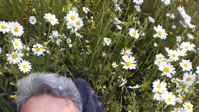 Orucu papatyalara tutturuyorum. Olur mu? Bir bu foto profile olur mu?