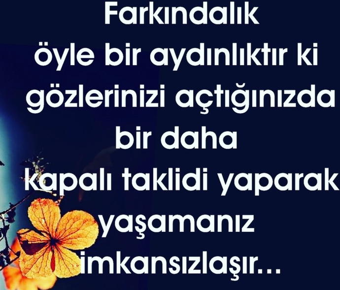 Farkındalıklara açık bir birey misiniz? Ne tarz farkındalıklara destek olursunuz?