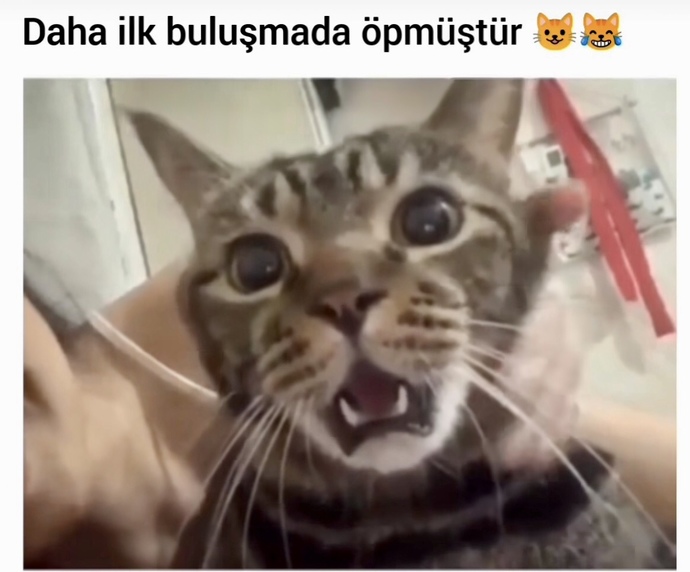 İlk buluşmada öpüşmek doğru mu?