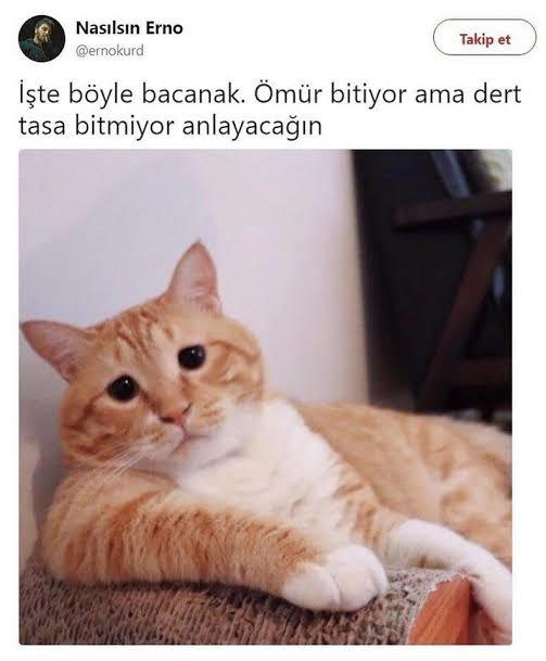 Başınızda kaç dert var?