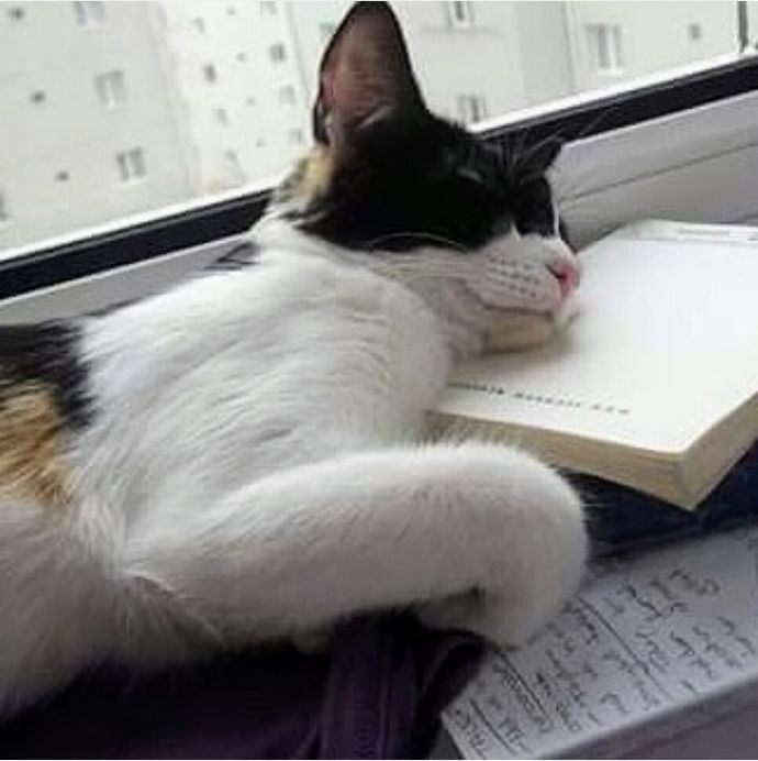 Uykumun gelme sebebi..🙂