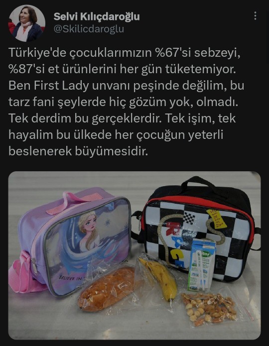 Emine Erdoğan TOGG için, "Arabanın kullanımı çok rahat, yağ gibi akıyor. Harika bir araç" demiş. TOGG'a güveniyor musunuz?