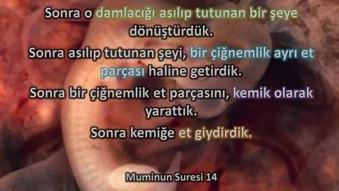 Kuran'daki bu ayeti biliyor muydunuz☺️?