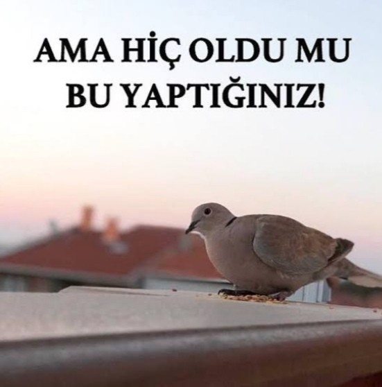 İzlemek istediğiniz bir dizi ya da filmden büyük bir spoiler yediğinizde nasıl tepki verirsiniz?