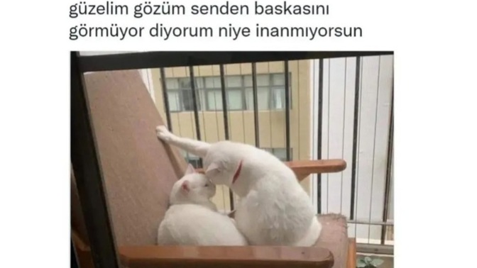 Erkeklerin en meşhur yalanlarından birini söyler misin?