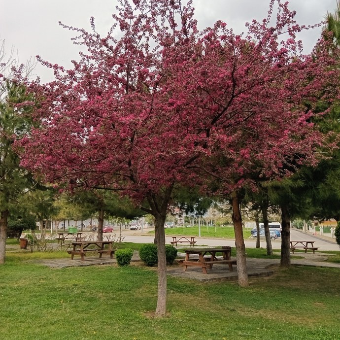 Bırakmayı düşünüp yapmaya devam ettiğin bir sey söyler misin?