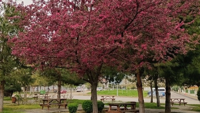 Bırakmayı düşünüp yapmaya devam ettiğin bir sey söyler misin?