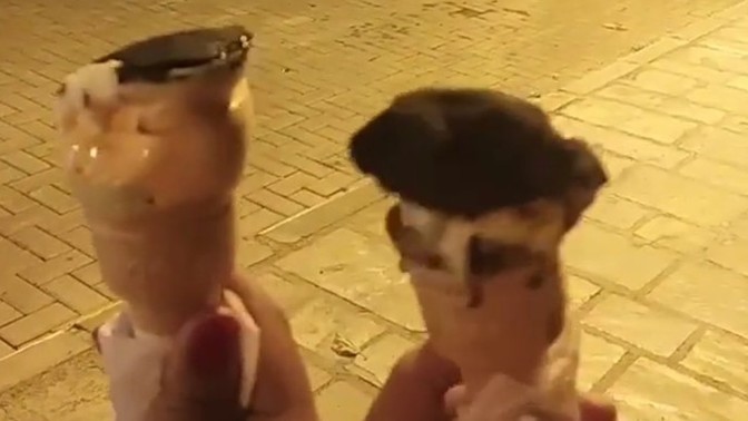 Dondurma sezonunu açtın mı?