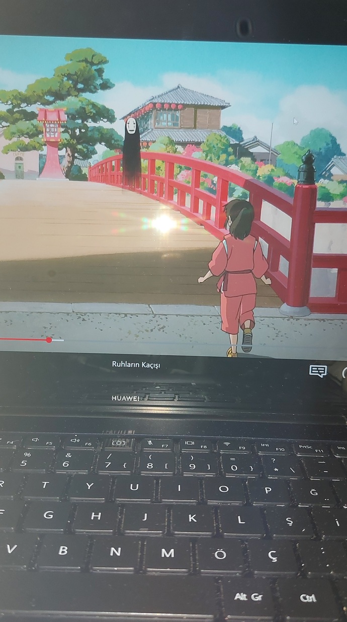 Anime film izler misiniz?
