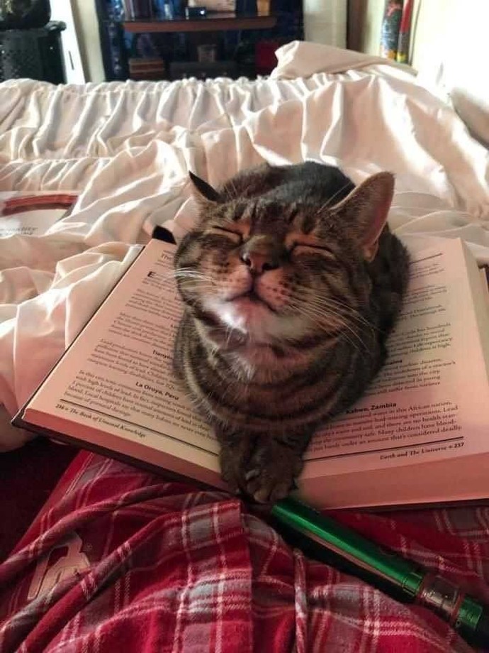 Bazı insanlar kitap okuyan kişilerden neden rahatsız olur?